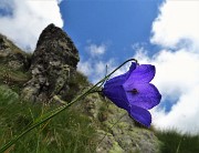 RIF.BENIGNI con CIMA PIAZZOTTI- VALPIANELLA ad anello, salito dalla Val Salmurano e disceso dalla Valpianella il 3 ott. 2019 - FOTOGALLERY